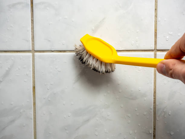 Best Mold Remediation for Schools in Newark, NJ