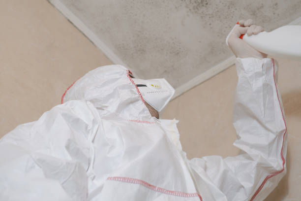 Best Mold Testing and Inspection Services in Newark, NJ